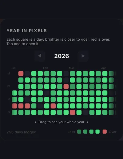 Year in pixels