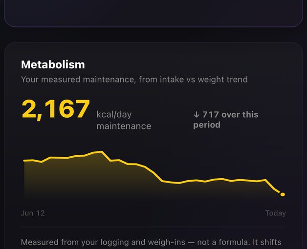 The metabolism graph